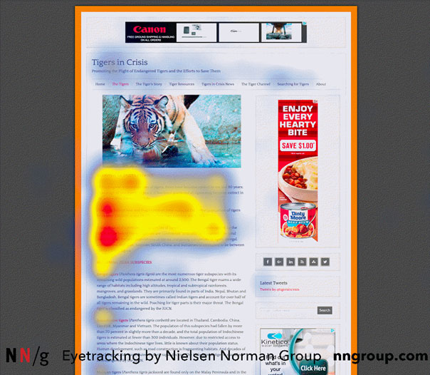 eye-tracking Imagen que muestra cómo funciona el eye-tracking