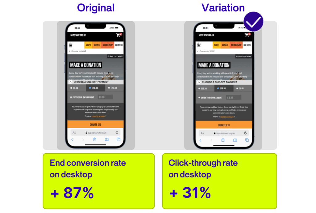 Infographic showing the customer journey mapping WWF implemented 