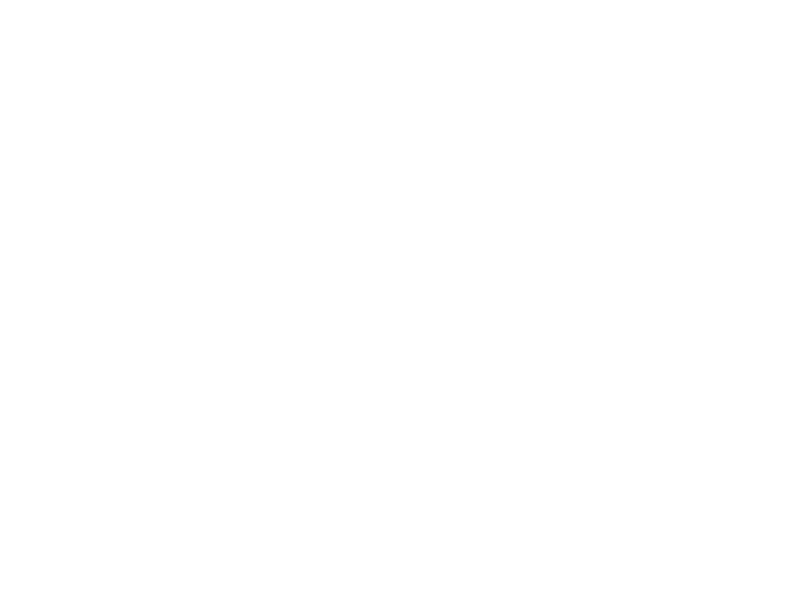 raja logo white