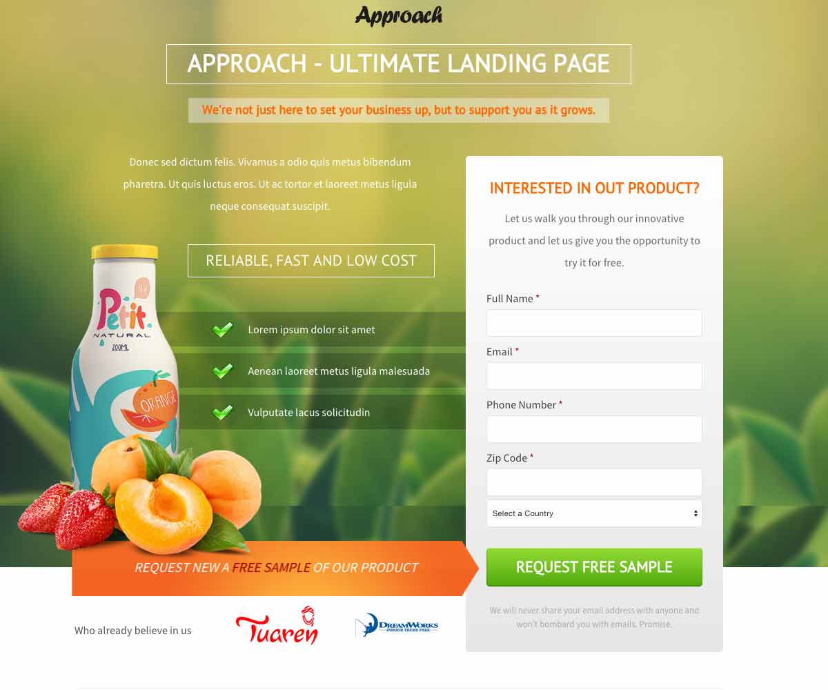 Examples of Landing Pages Lead Generation