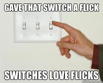 Meme - Gave that switch a flick. Switches love flicks